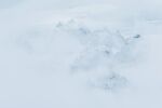 白雪