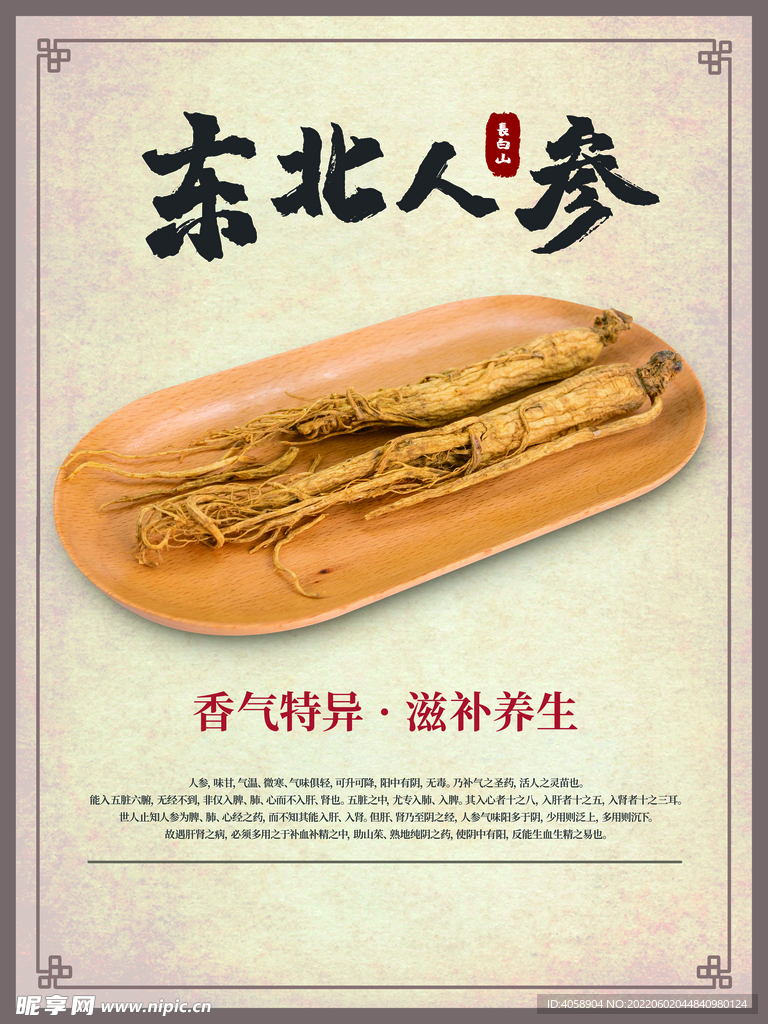 东北人参