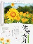 六月 你好 宣传海报