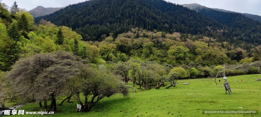 高原风景