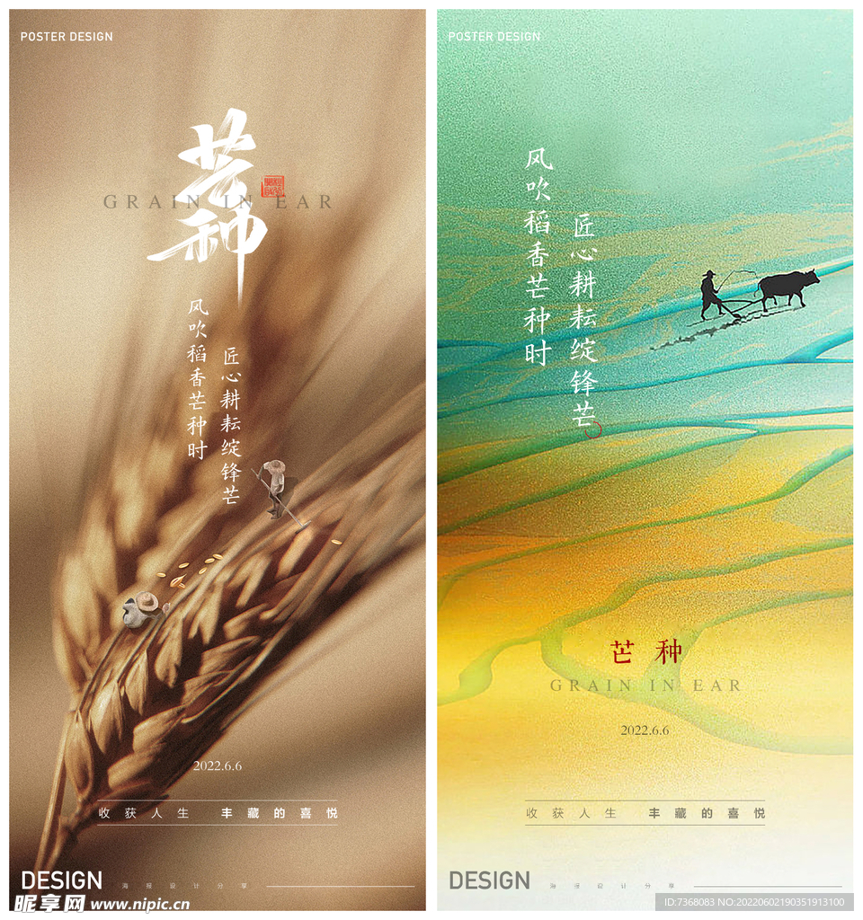 芒种海报