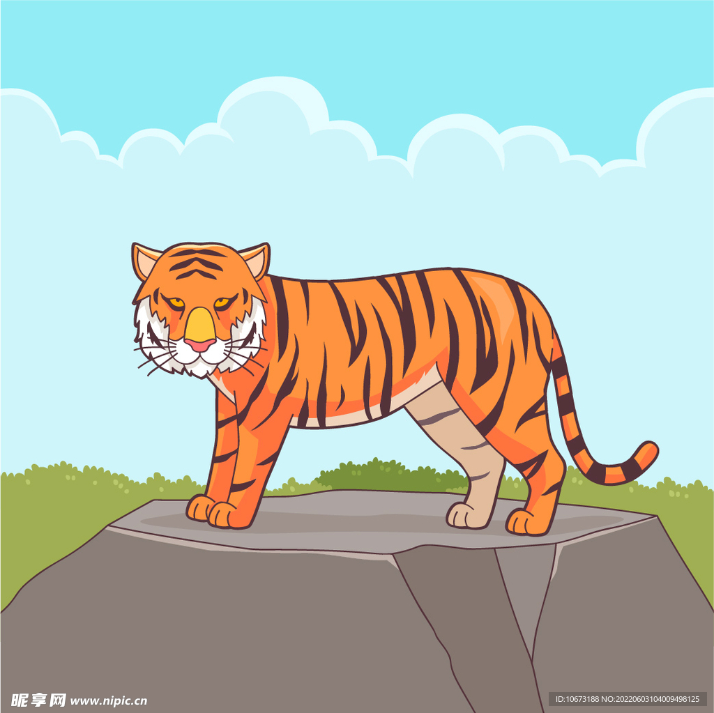 老虎 