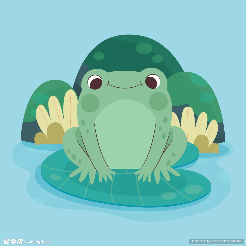青蛙 