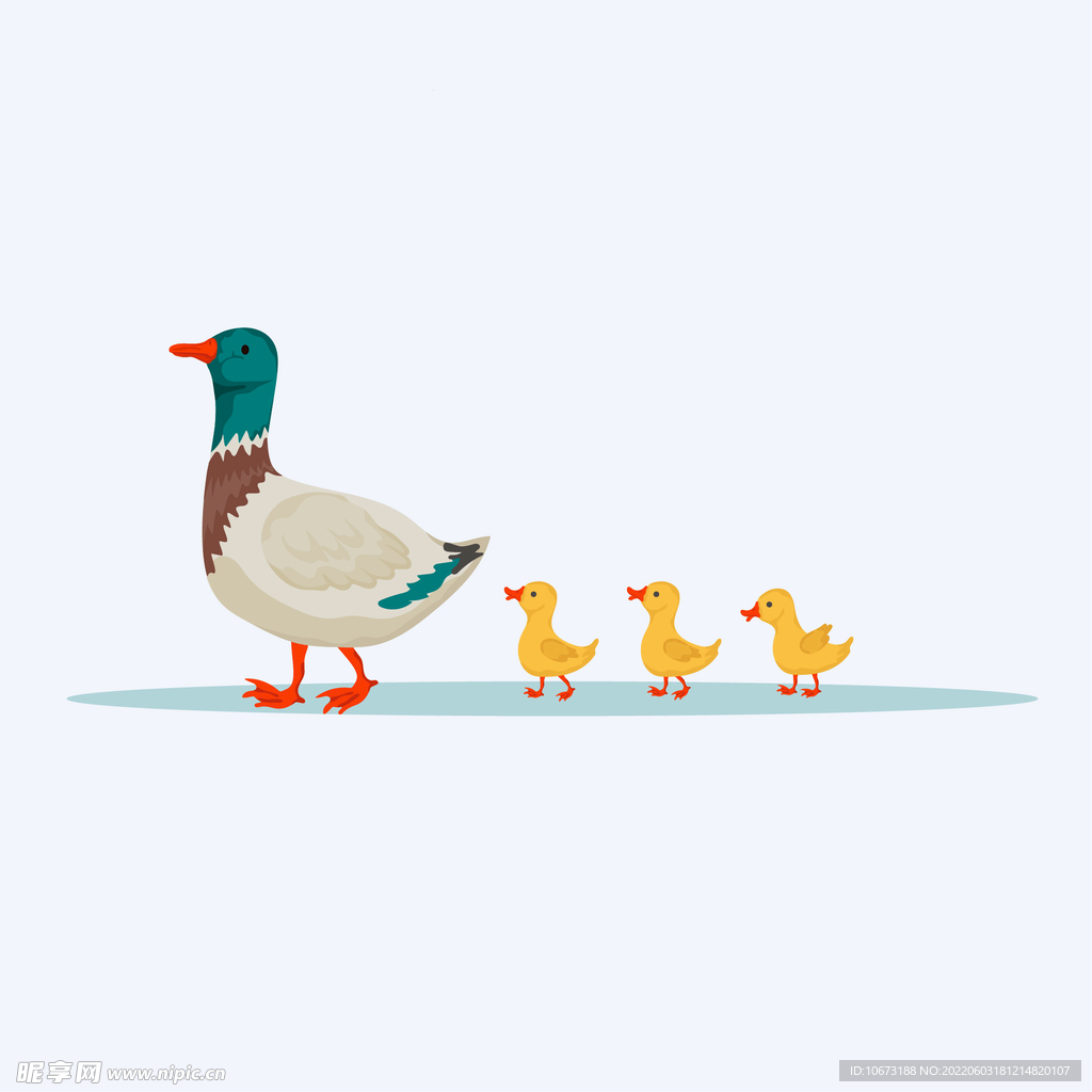 鸭妈妈带小鸭子