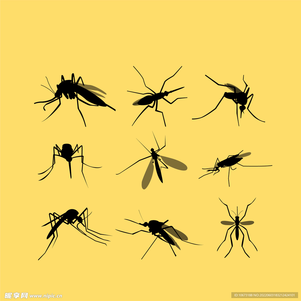 蚊子相关