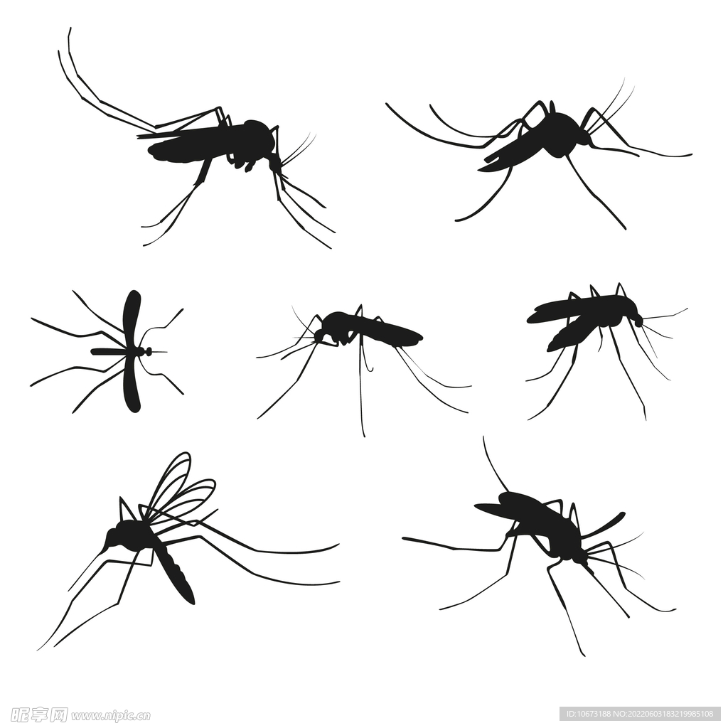 卡通蚊子插画图片素材-编号25027850-图行天下
