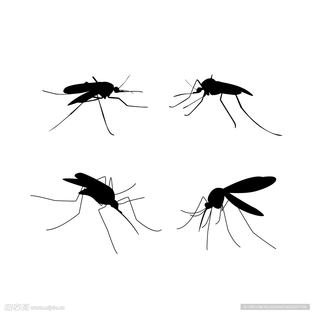 蚊子相关