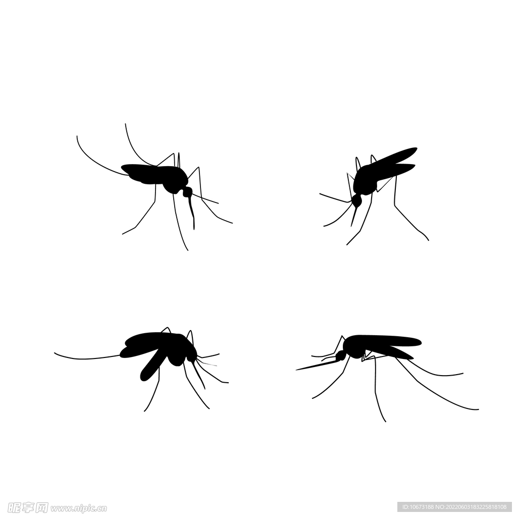 蚊子相关