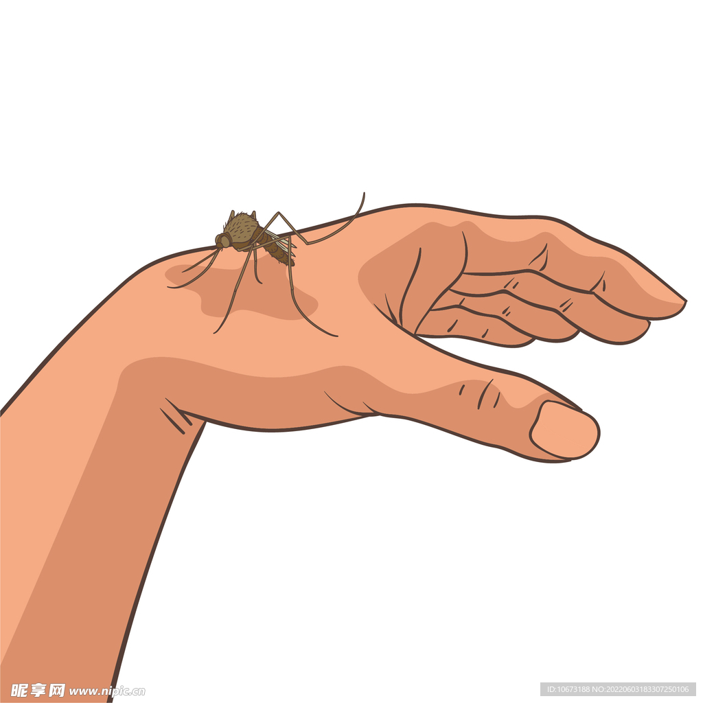 蚊子相关 