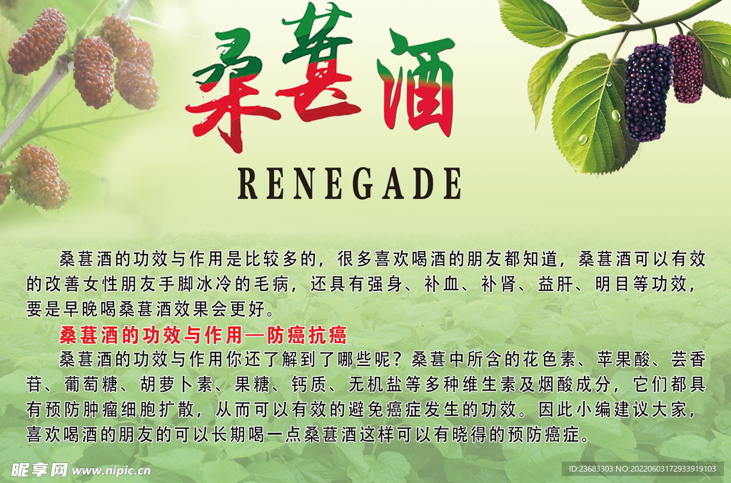 桑葚酒海报素材