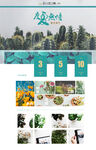 高级绿色植物网页界面设计淘宝装