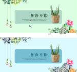 植物多肉清新banner图