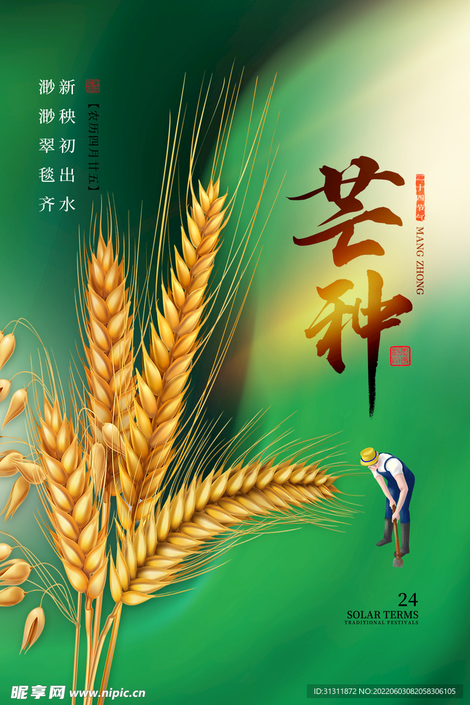 芒种