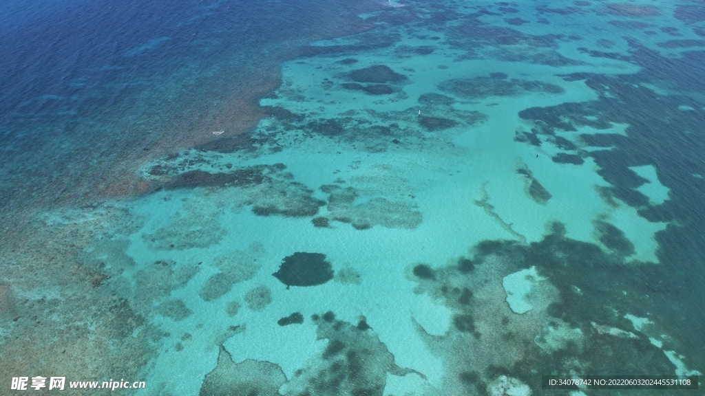 海洋世界