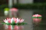 水系装饰