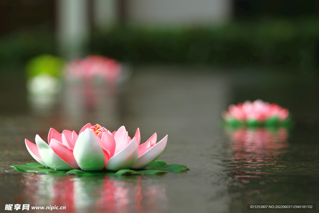 水系装饰