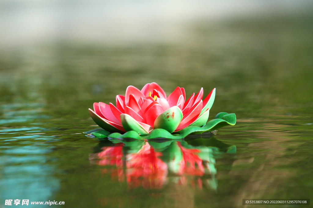 水系装饰