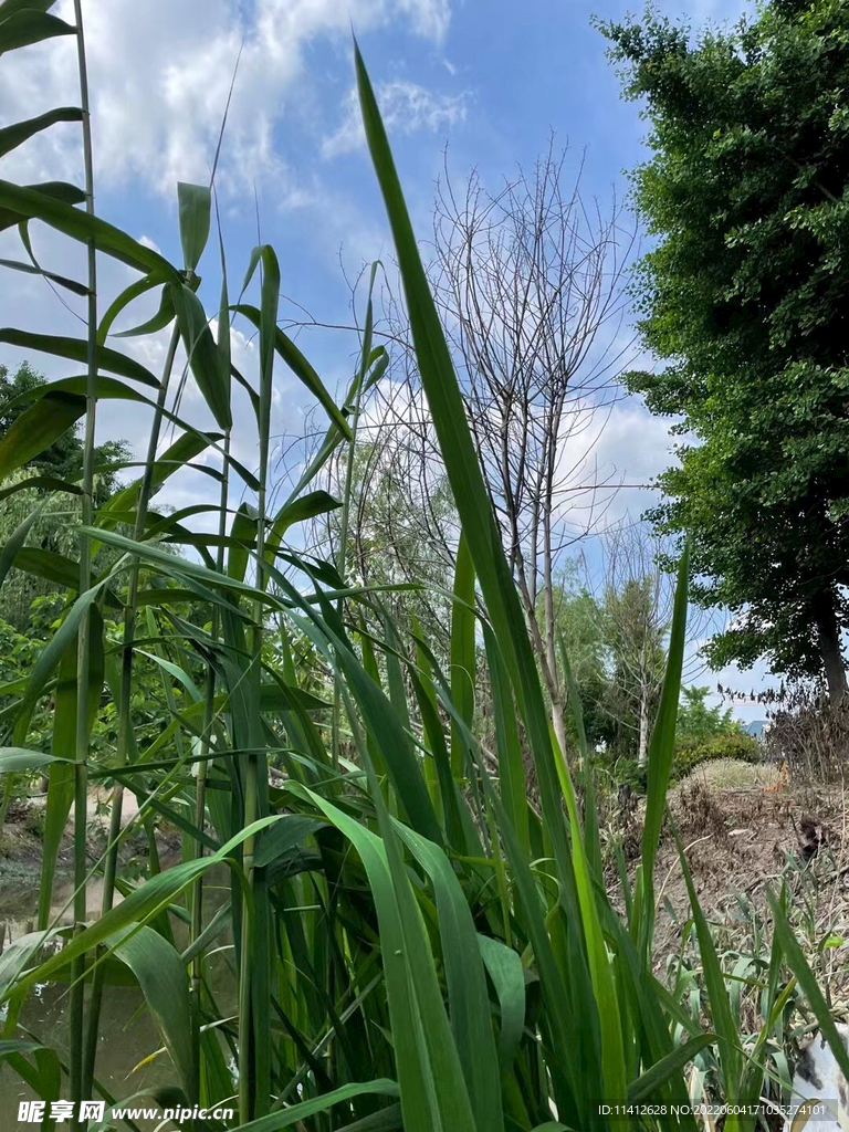 风景
