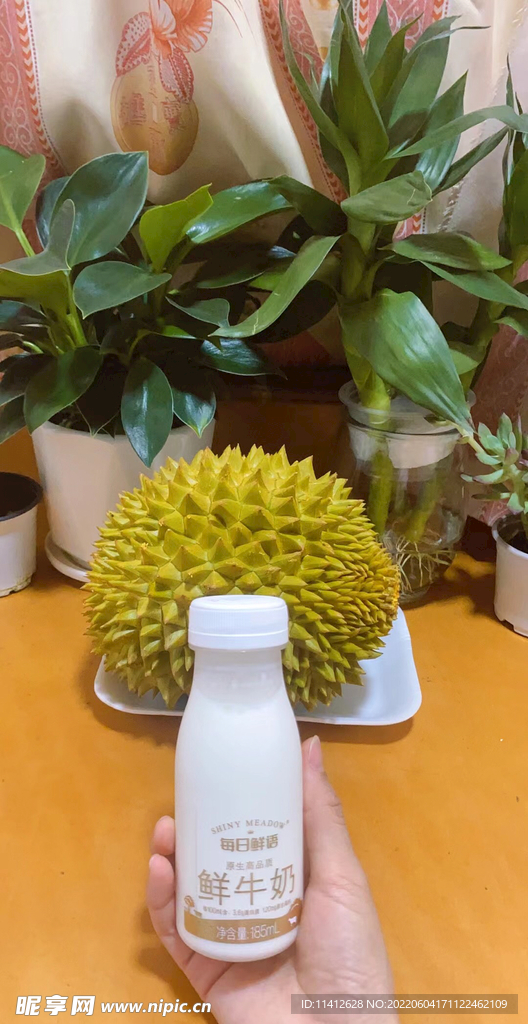 酸奶