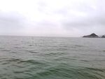 美丽的大海风景