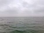 美丽的大海风景