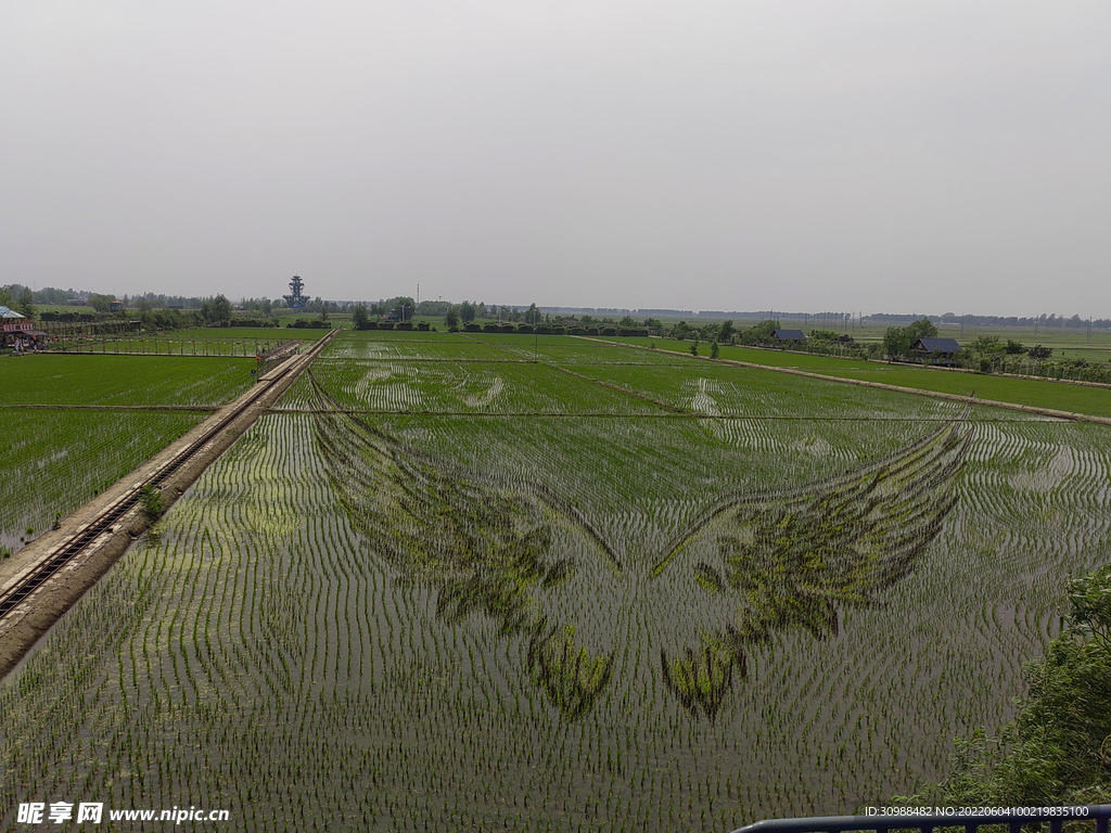 稻梦空间