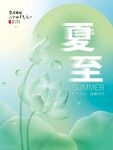夏至二十四节气海报