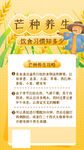  24节气芒种