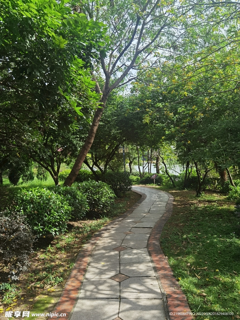 林荫小道公园