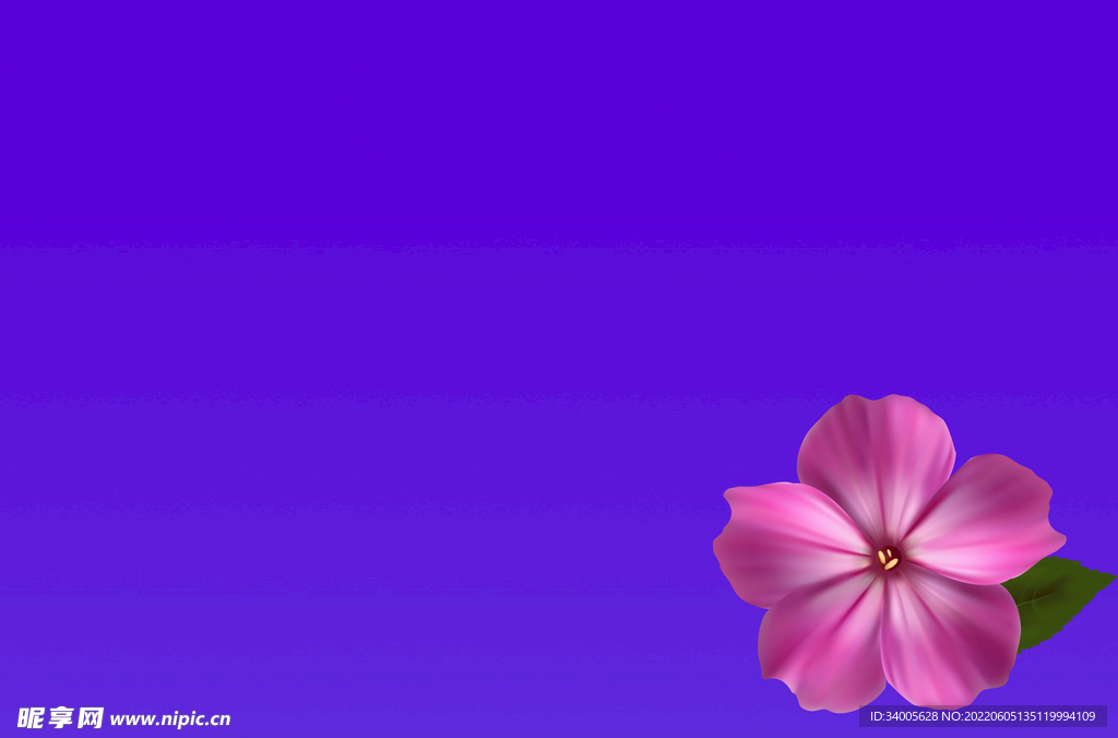 天蓝紫花