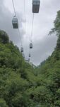万盛黑山谷景区