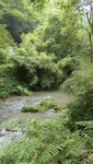 万盛黑山谷景区