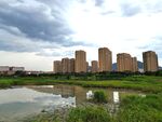 城市湖畔