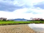湖畔家园