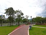 美丽的公园风景