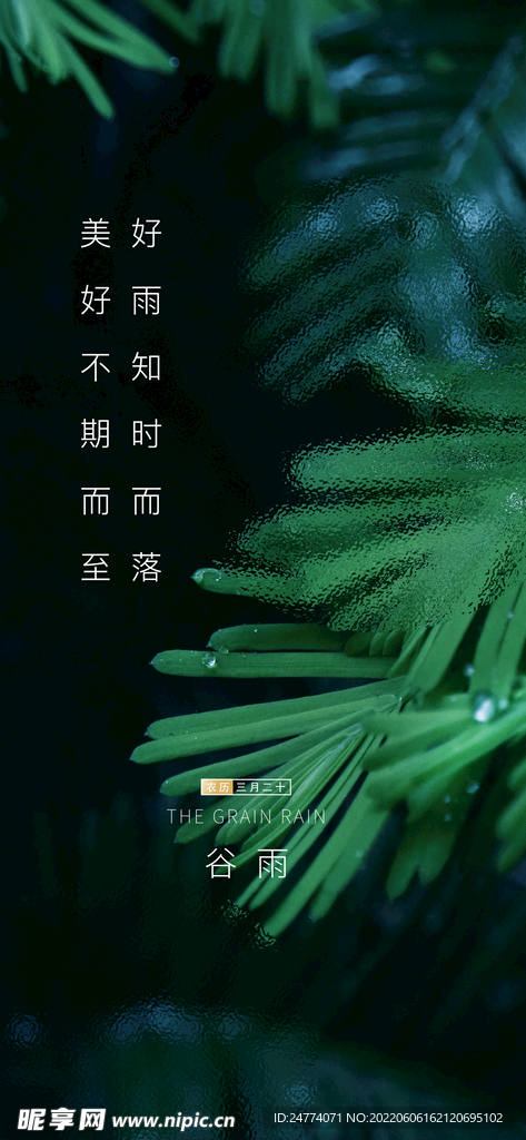 谷雨 微信稿