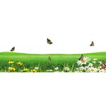 草地免扣蝴蝶