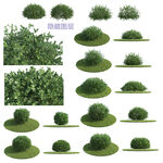 绿植素材