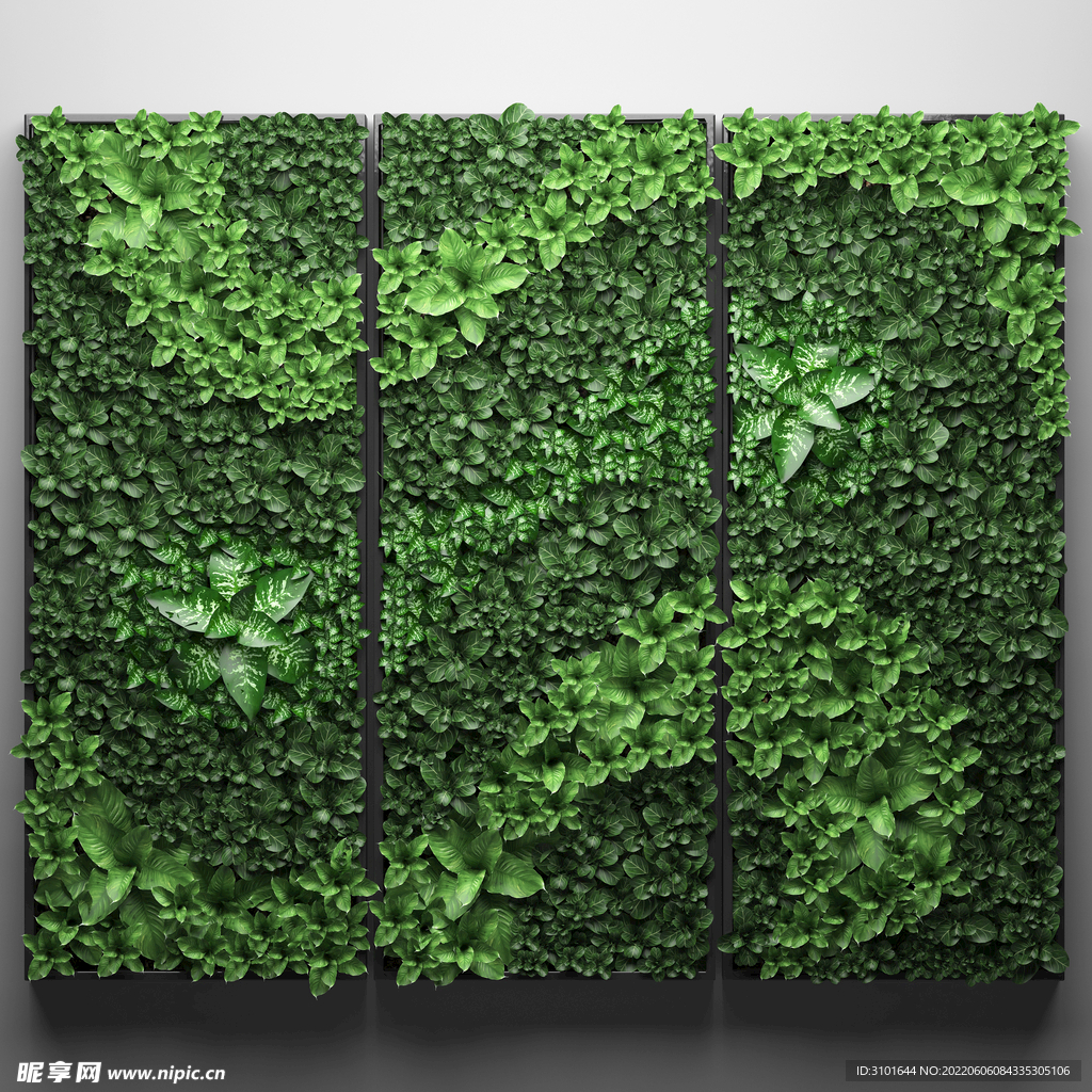 绿植装饰