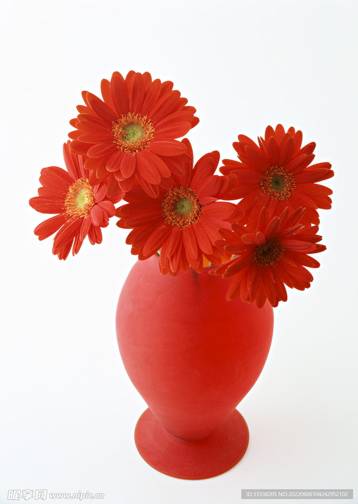 花卉