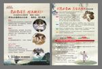 太极养生俱乐部旅游宣传单