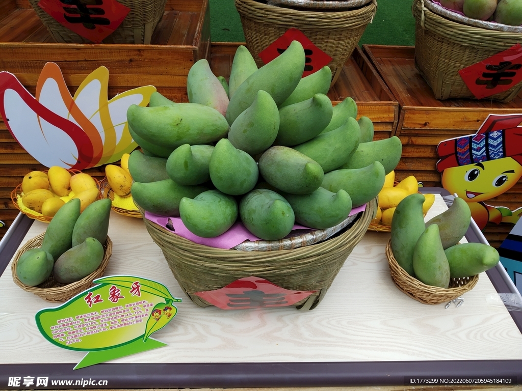 芒果