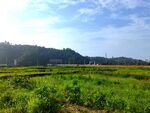 美丽的乡村风景