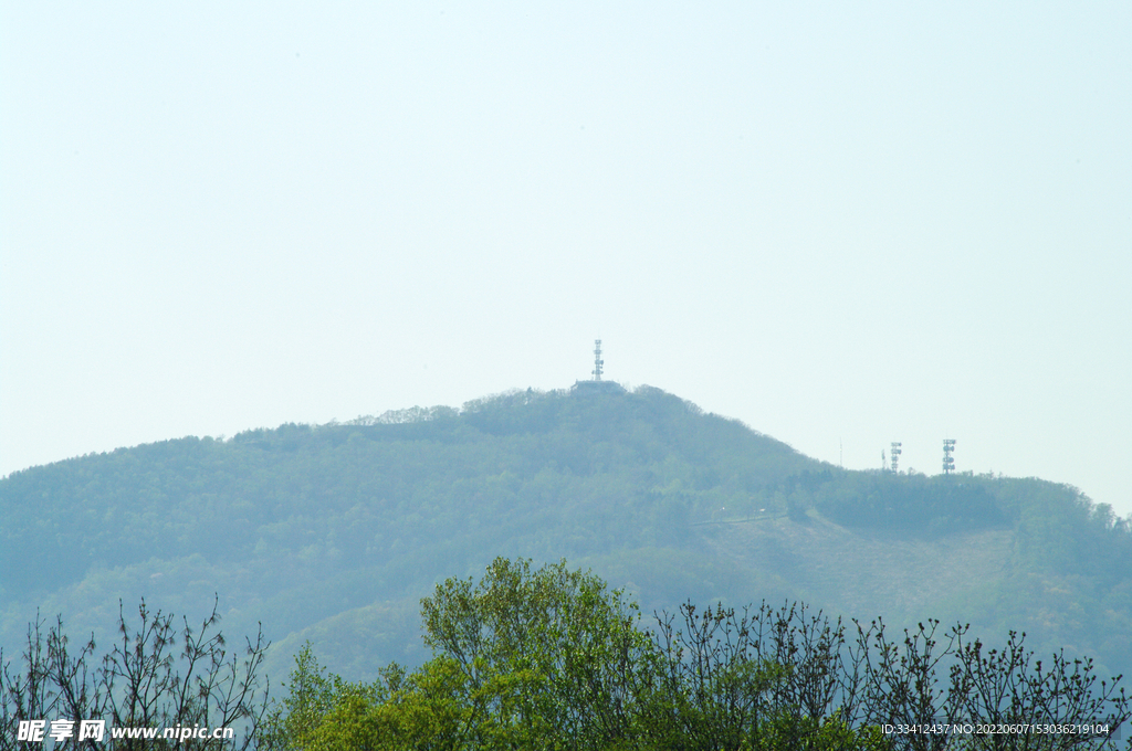 山