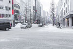 雪地