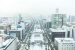 城市