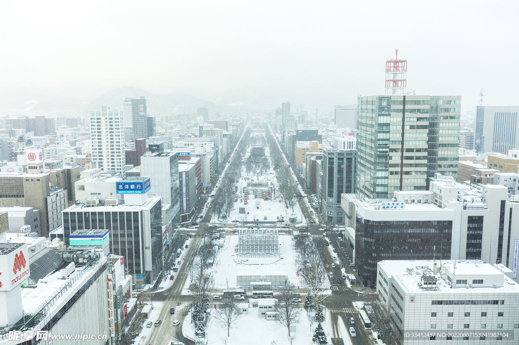 城市