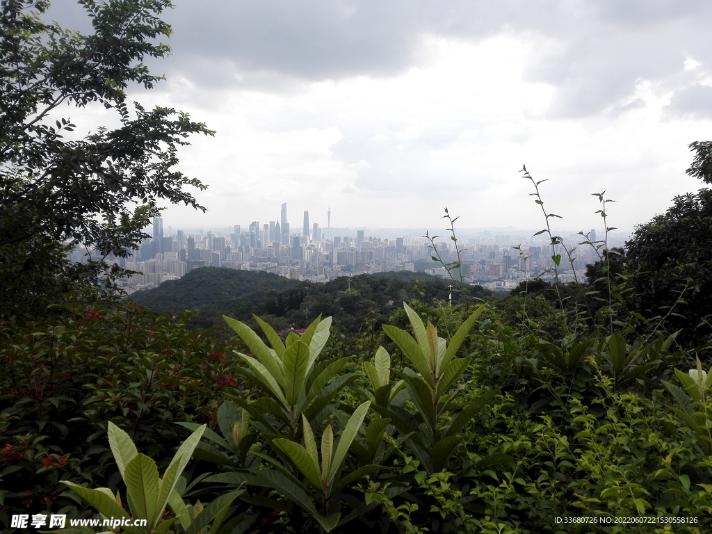 风景图