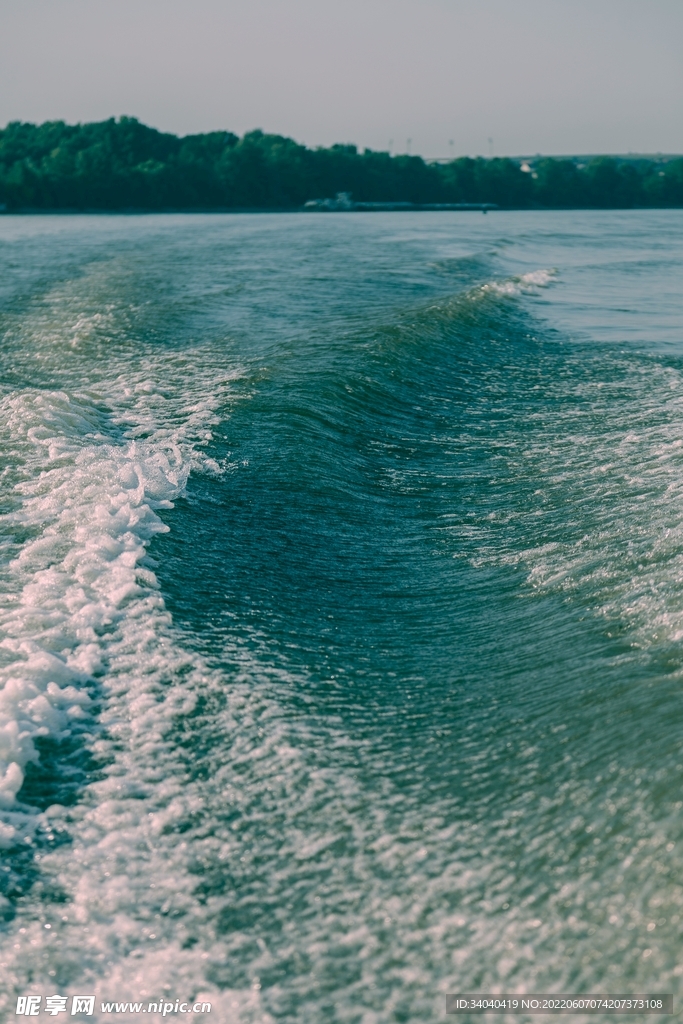 大海