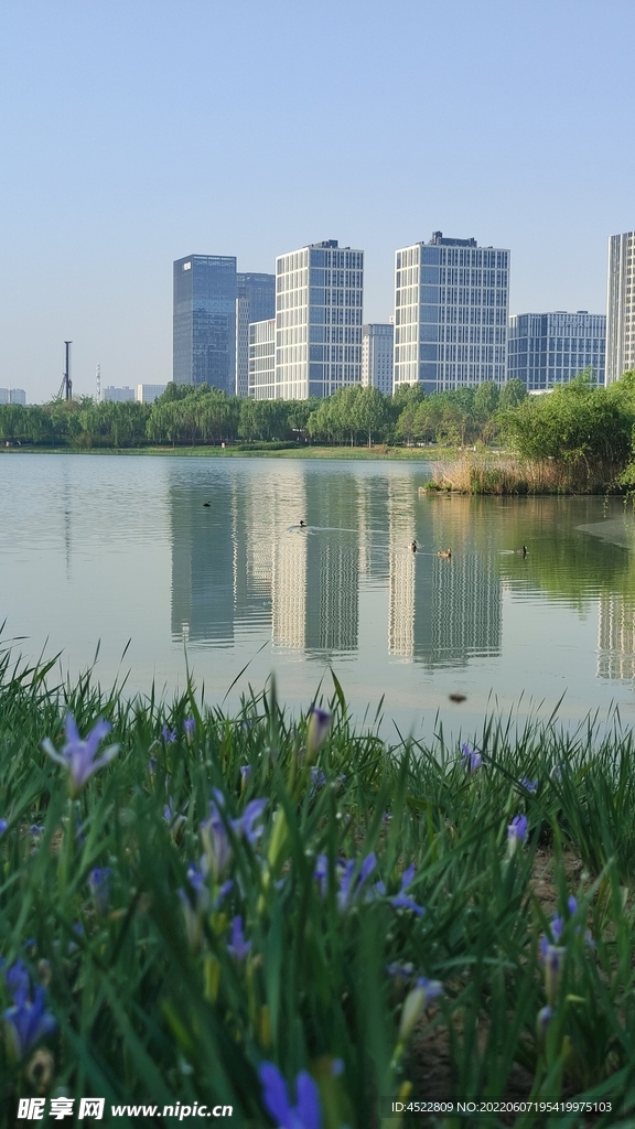 龙子湖